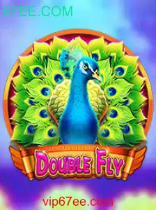 Descubra o Excitante Mundo de DoubleFly: Um Mergulho nas Regras e Estratégias do Jogo